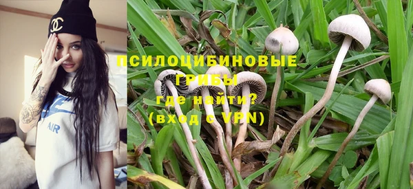 прущий лед Алзамай